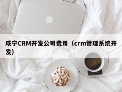咸宁CRM开发公司费用（crm管理系统开发）
