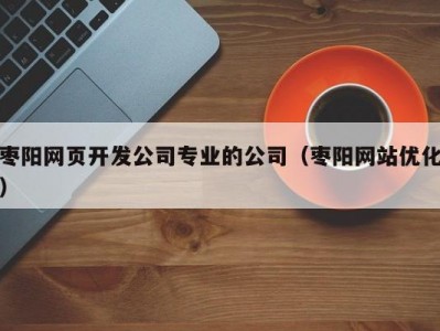 枣阳网页开发公司专业的公司（枣阳网站优化）