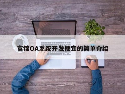 富锦OA系统开发便宜的简单介绍