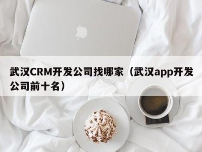 武汉CRM开发公司找哪家（武汉app开发公司前十名）