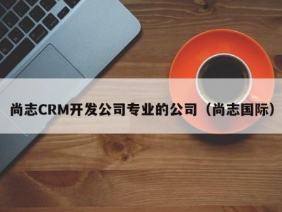 尚志CRM开发公司专业的公司（尚志国际）